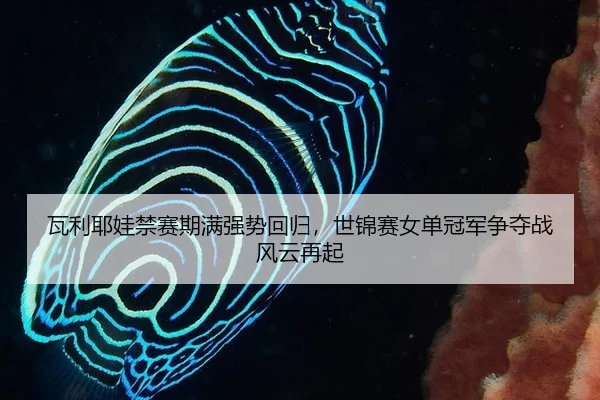 wa-li-ye-wa-jin-sai-qi-man-qiang-shi-hui-gui-shi-jin-sai-nv-dan-guan-jun-zheng-duo-zhan-feng-yun-zai-qi-2-398.jpg
